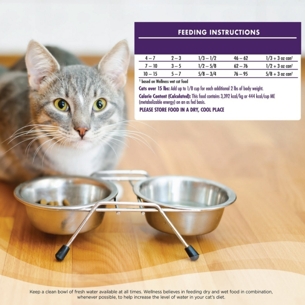 Wellness Complete Health Deboned Chicken & Chicken Meal Grain Free Senior Dry Cat Food For Cheap