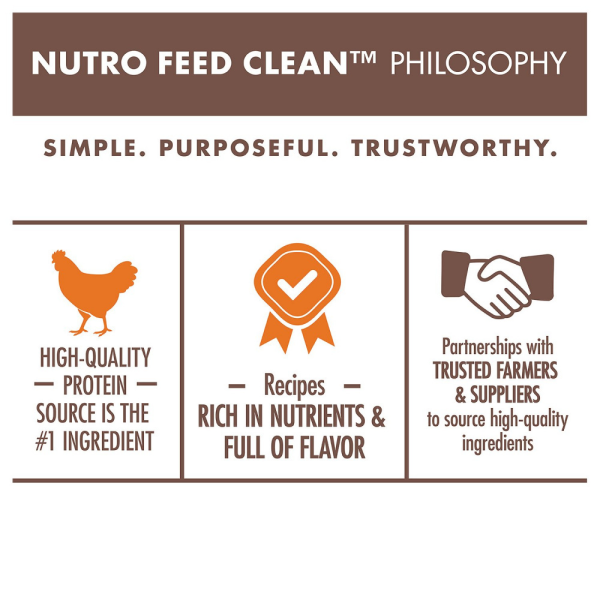 Nutro Wholesome Essentials Indoor Chicken and Brown Rice Recipe Adult  Dry Cat Food Supply