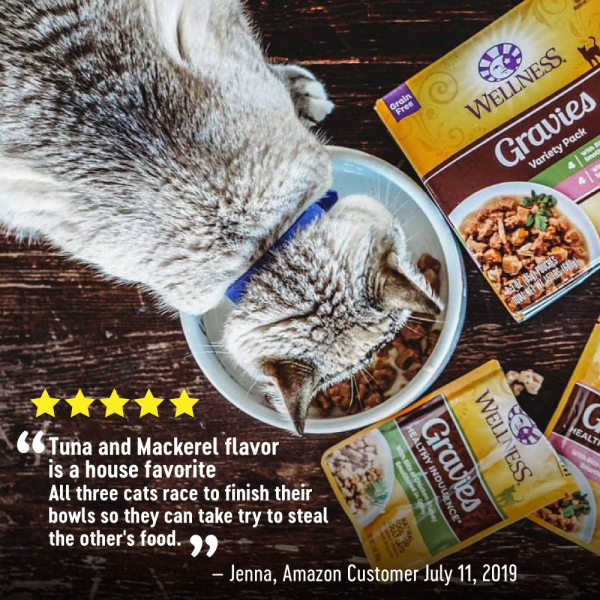 Wellness Healthy Indulgence Natural Grain Free Gravies with Tuna and Mackerel in Gravy Cat Food Pouch Sale