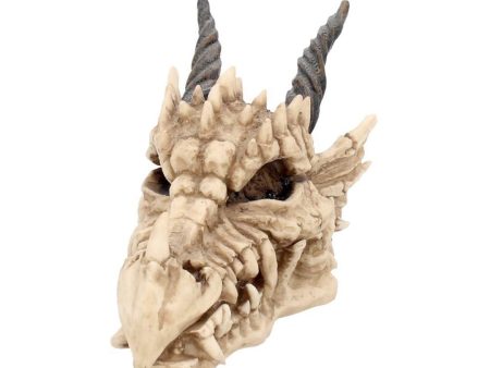 Fantasy Skull Dragon Skull Trinket Box Sale