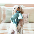 KONG Comfort Kiddos Elephant Plush Dog Toy on Sale