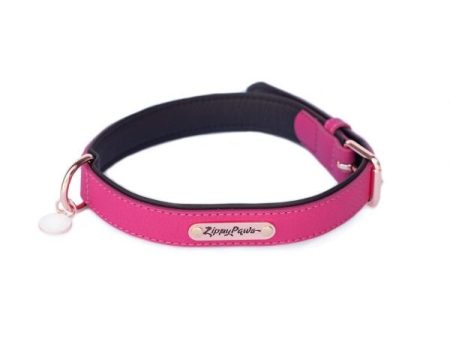 ZippyPaws Vivid Collection Magenta Dog Collar Online Hot Sale