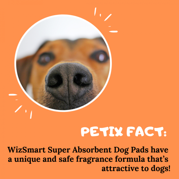 WizSmart Super All Day Dry Premium Dog Pads Discount