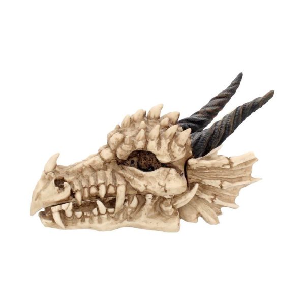 Fantasy Skull Dragon Skull Trinket Box Sale