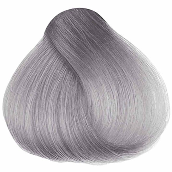 Sylvia Silver Hair Dye Online Hot Sale