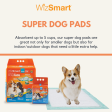 WizSmart Super All Day Dry Premium Dog Pads Discount