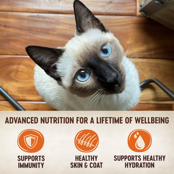 Wellness CORE Tiny Tasters Chicken & Turkey Pate Wet Cat Food Discount