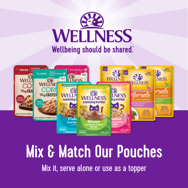 Wellness CORE Tiny Tasters Chicken & Beef Pate Wet Cat Food Online Sale