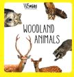 Woodland Animals For Discount