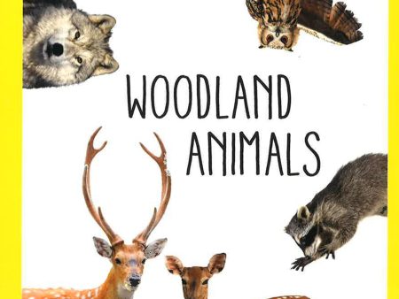 Woodland Animals For Discount