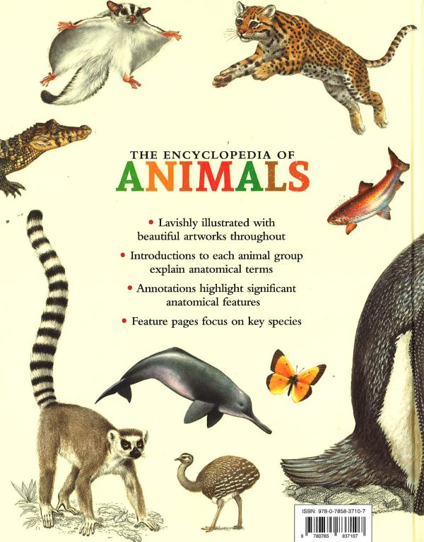 The Encyclopedia Of Animals Cheap