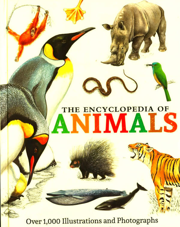 The Encyclopedia Of Animals Cheap