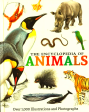 The Encyclopedia Of Animals Cheap