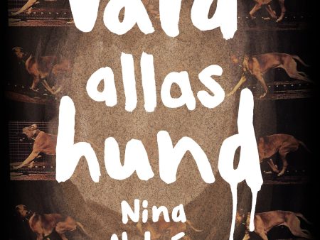 Vara allas hund Online Sale