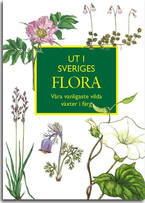 Ut i Sveriges Flora: våra vanligaste vilda växter i färg Online Sale