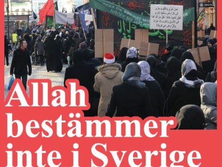 Allah bestämmer inte i Sverige : om islam och andra obekväma frågor i Sverige idag For Cheap