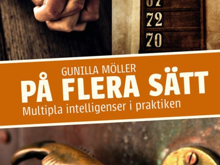 På flera sätt : multipla intelligenser i praktiken Hot on Sale